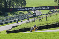Lower Group Yellow Bikes